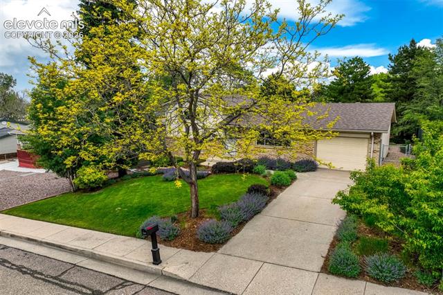 MLS Image for 5050  Portrait  ,Colorado Springs, Colorado