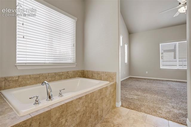 MLS Image for 6581  Alliance  ,Colorado Springs, Colorado