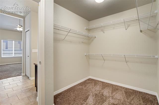 MLS Image for 6581  Alliance  ,Colorado Springs, Colorado