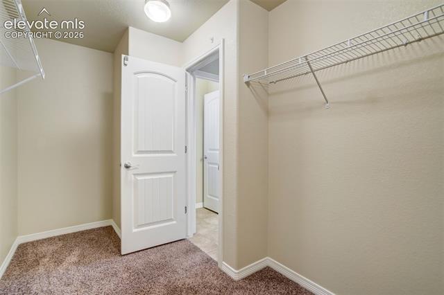 MLS Image for 6581  Alliance  ,Colorado Springs, Colorado