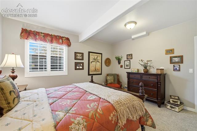 MLS Image for 12558  Hawk Stone  ,Colorado Springs, Colorado
