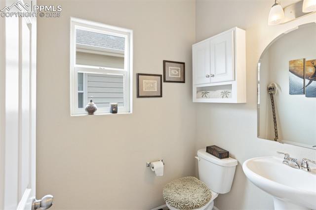 MLS Image for 7505  Alpine Daisy  ,Colorado Springs, Colorado