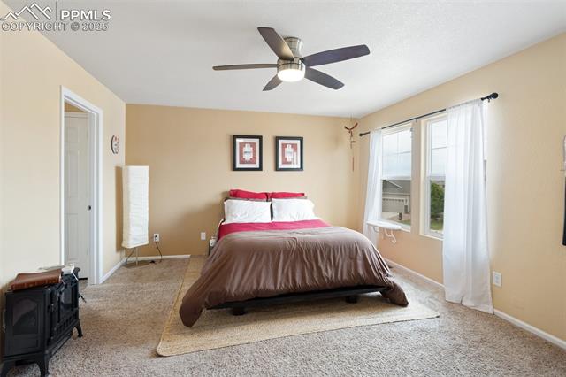 MLS Image for 7505  Alpine Daisy  ,Colorado Springs, Colorado