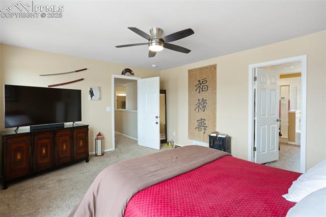 MLS Image for 7505  Alpine Daisy  ,Colorado Springs, Colorado