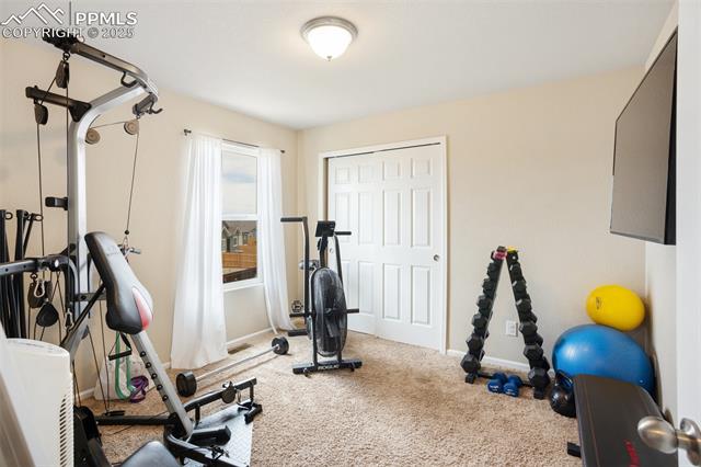 MLS Image for 7505  Alpine Daisy  ,Colorado Springs, Colorado