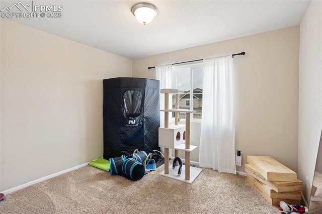 MLS Image for 7505  Alpine Daisy  ,Colorado Springs, Colorado