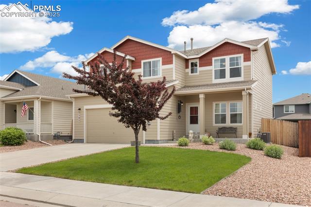 MLS Image for 7505  Alpine Daisy  ,Colorado Springs, Colorado