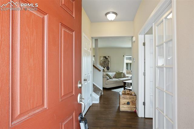 MLS Image for 7505  Alpine Daisy  ,Colorado Springs, Colorado