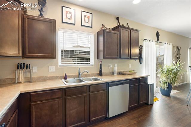 MLS Image for 7505  Alpine Daisy  ,Colorado Springs, Colorado