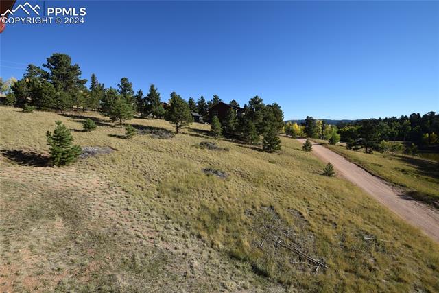 MLS Image for 39  Pontiac  ,Woodland Park, Colorado