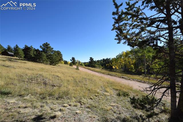 MLS Image for 39  Pontiac  ,Woodland Park, Colorado