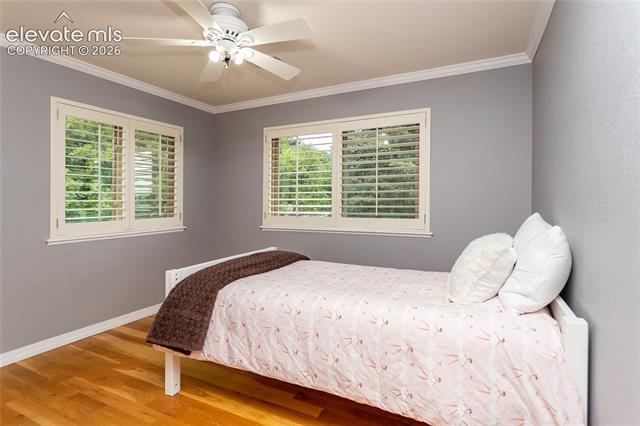 MLS Image for 4835  Newstead  ,Colorado Springs, Colorado