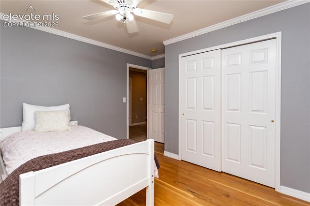 MLS Image for 4835  Newstead  ,Colorado Springs, Colorado
