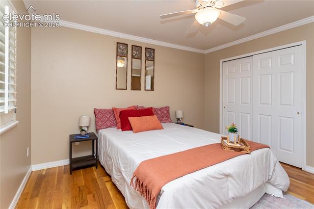 MLS Image for 4835  Newstead  ,Colorado Springs, Colorado