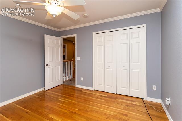MLS Image for 4835  Newstead  ,Colorado Springs, Colorado