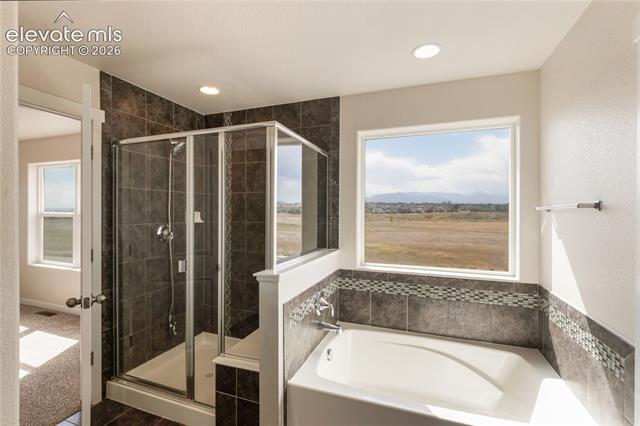 MLS Image for 7352  Bigtooth Maple  ,Colorado Springs, Colorado