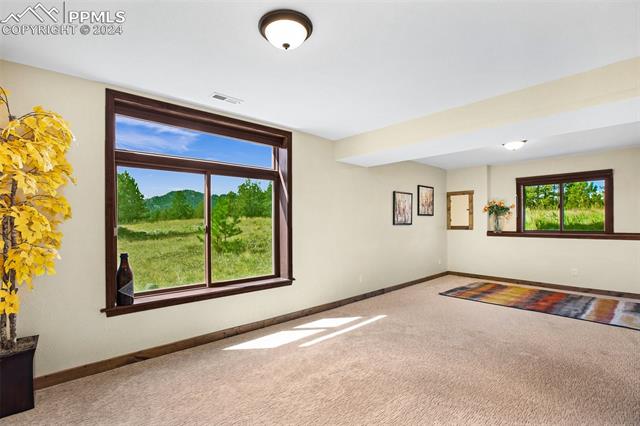 MLS Image for 558 N Deer Mountain  ,Florissant, Colorado