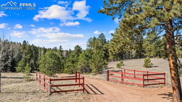 MLS Image for 1596  County Road 512  ,Divide, Colorado