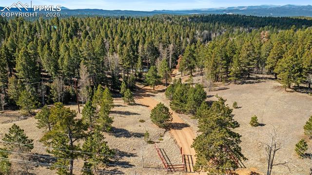 MLS Image for 1596  County Road 512  ,Divide, Colorado