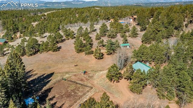 MLS Image for 1596  County Road 512  ,Divide, Colorado