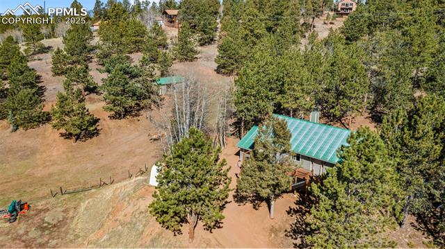 MLS Image for 1596  County Road 512  ,Divide, Colorado