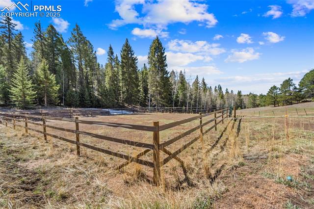 MLS Image for 1596  County Road 512  ,Divide, Colorado