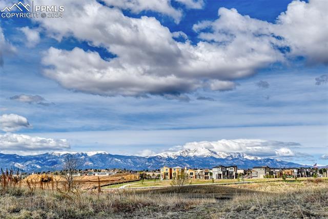 MLS Image for 3550  Pony Tracks  ,Colorado Springs, Colorado
