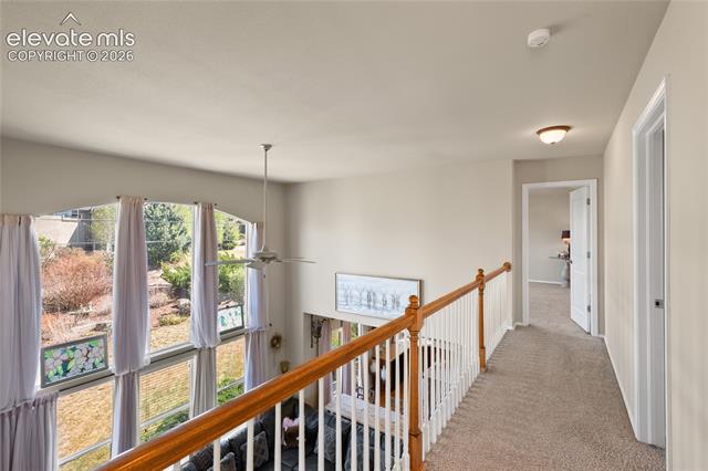 MLS Image for 13753  Windy Oaks  ,Colorado Springs, Colorado