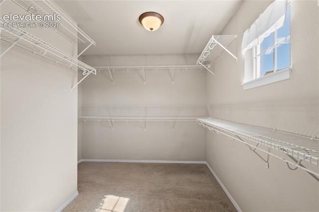 MLS Image for 13753  Windy Oaks  ,Colorado Springs, Colorado