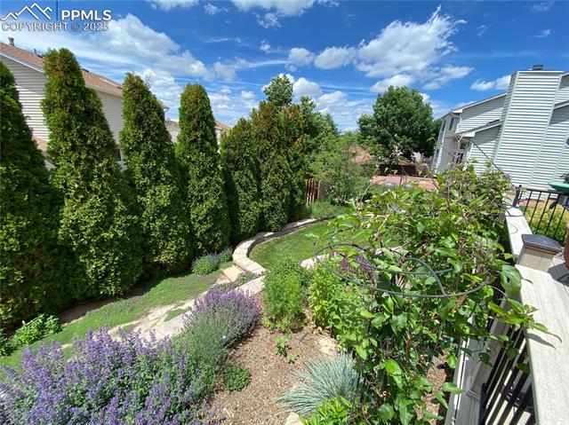 MLS Image for 3650  Gingham  ,Colorado Springs, Colorado