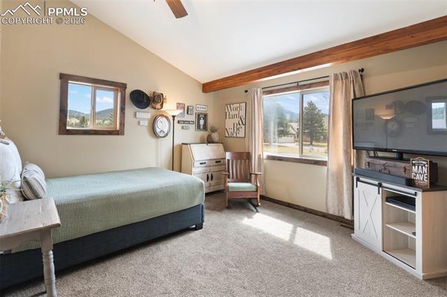 MLS Image for 1860  Blackfoot  ,Woodland Park, Colorado