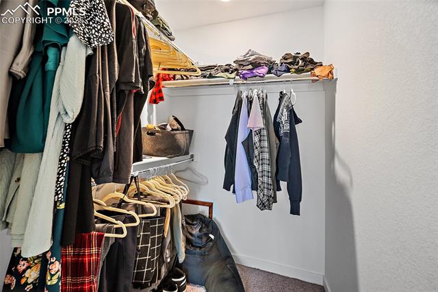 MLS Image for 5840  Thurless  ,Colorado Springs, Colorado