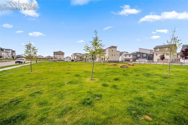MLS Image for 5840  Thurless  ,Colorado Springs, Colorado