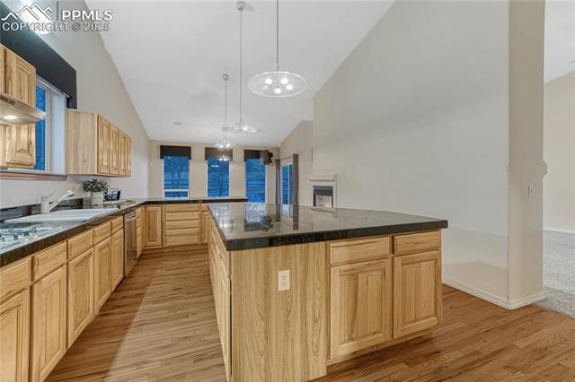 MLS Image for 5565  Canvasback  ,Colorado Springs, Colorado