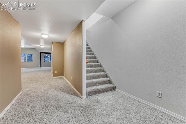 MLS Image for 5565  Canvasback  ,Colorado Springs, Colorado