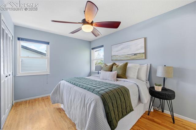MLS Image for 3708  Windflower  ,Colorado Springs, Colorado