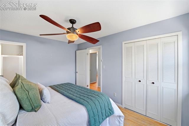 MLS Image for 3708  Windflower  ,Colorado Springs, Colorado