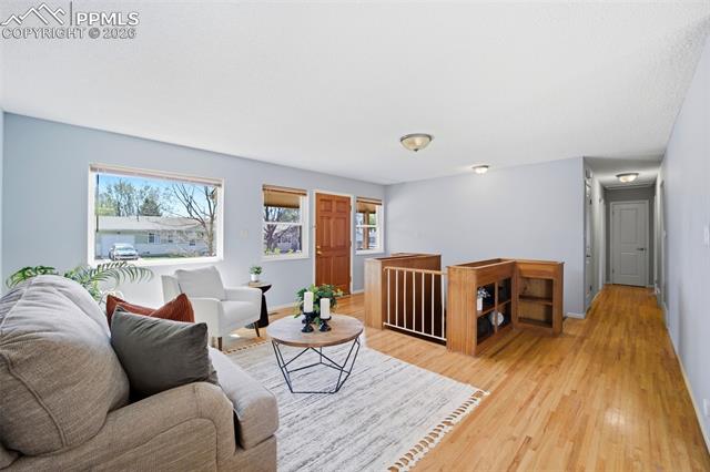 MLS Image for 3708  Windflower  ,Colorado Springs, Colorado