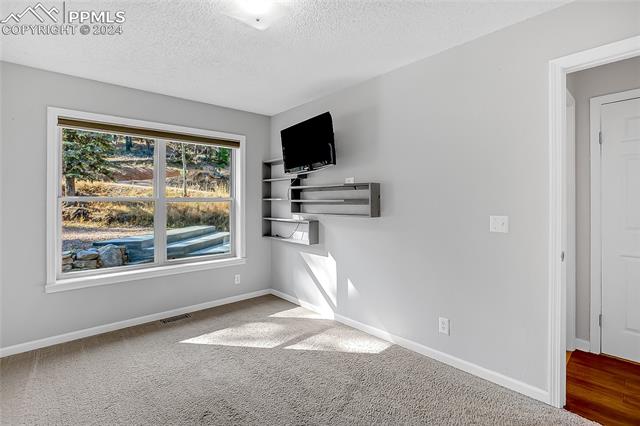 MLS Image for 297  Banner  ,Florissant, Colorado