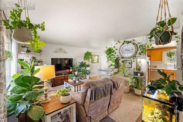 MLS Image for 1515 N Murray  ,Colorado Springs, Colorado