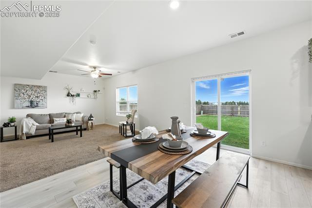 MLS Image for 9723  Borderpine  ,Colorado Springs, Colorado