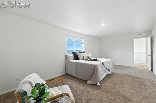 MLS Image for 9723  Borderpine  ,Colorado Springs, Colorado