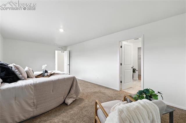 MLS Image for 9723  Borderpine  ,Colorado Springs, Colorado