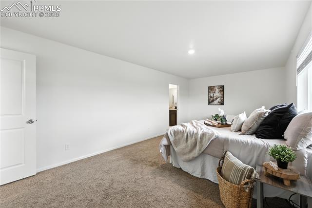 MLS Image for 9723  Borderpine  ,Colorado Springs, Colorado