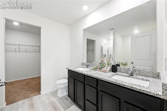 MLS Image for 9723  Borderpine  ,Colorado Springs, Colorado