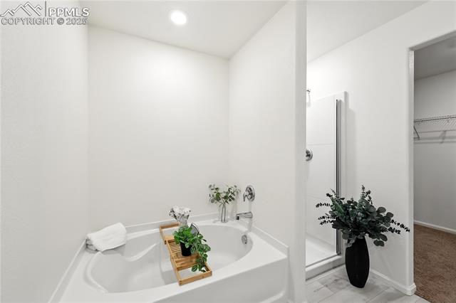 MLS Image for 9723  Borderpine  ,Colorado Springs, Colorado