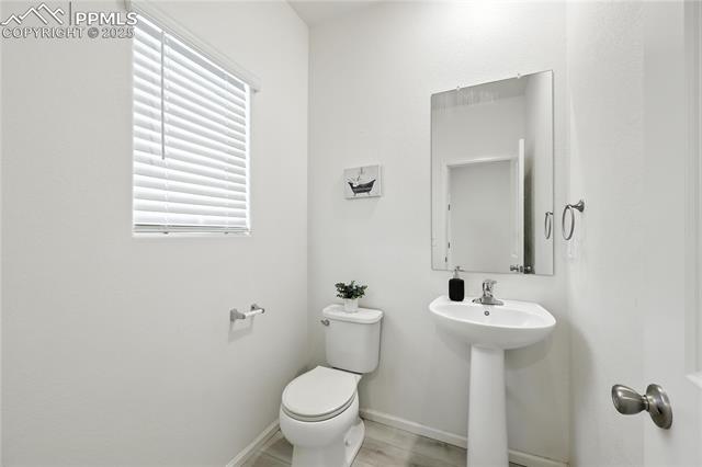 MLS Image for 9723  Borderpine  ,Colorado Springs, Colorado