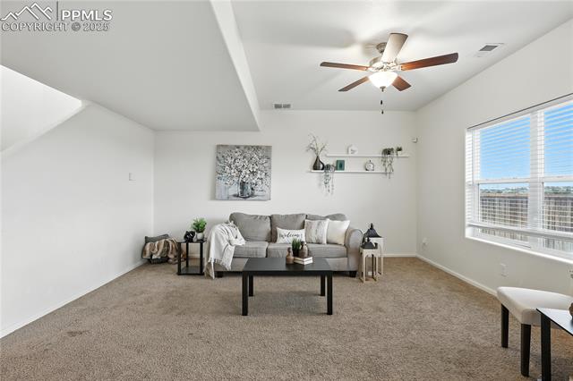 MLS Image for 9723  Borderpine  ,Colorado Springs, Colorado
