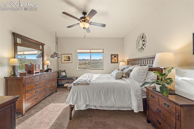 MLS Image for 13025  Brentwood  ,Colorado Springs, Colorado