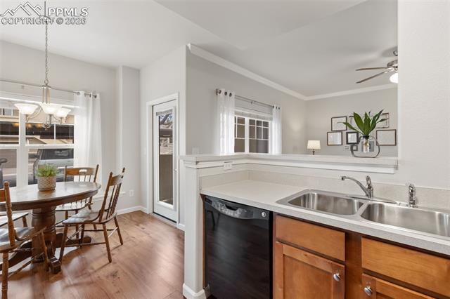 MLS Image for 6964  Ash Creek  101 ,Colorado Springs, Colorado
